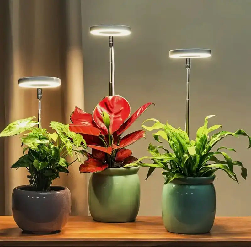 Iliana - Nastavitelná pěstební LED lampa