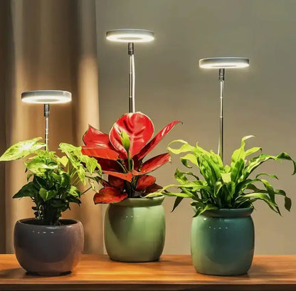 Iliana - Nastavitelná pěstební LED lampa