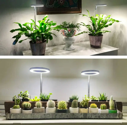 Iliana - Nastavitelná pěstební LED lampa
