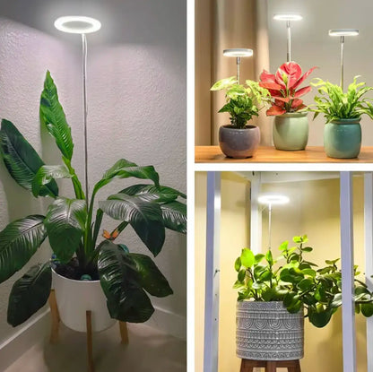 Iliana - Nastavitelná pěstební LED lampa
