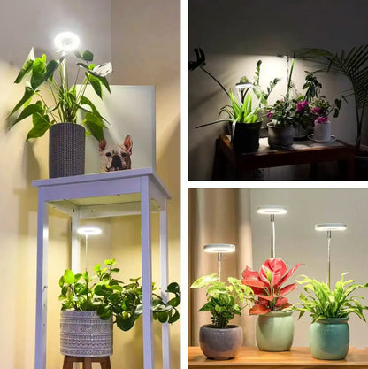 Iliana - Nastavitelná pěstební LED lampa